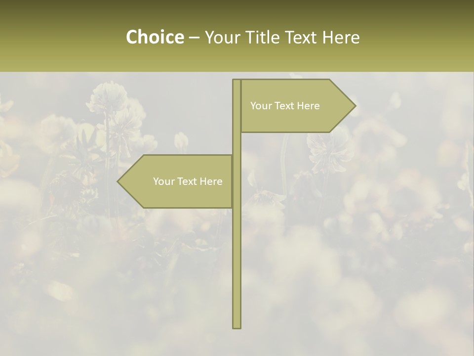 House Human Hand Property PowerPoint Template