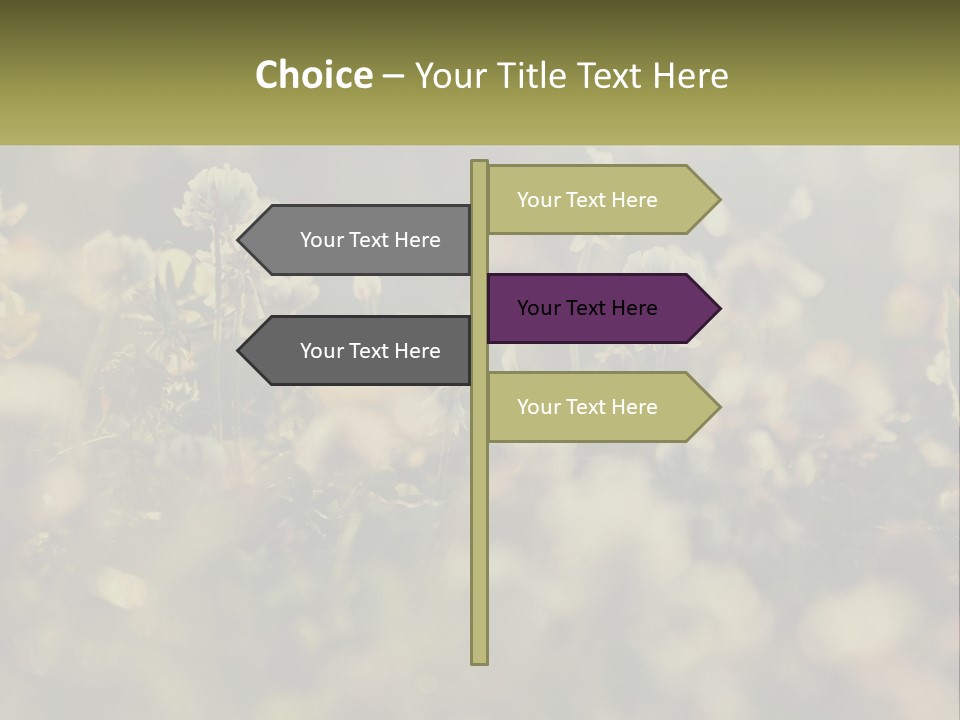 House Human Hand Property PowerPoint Template