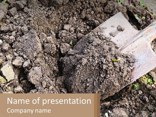 Property Nature Human Hand PowerPoint Template