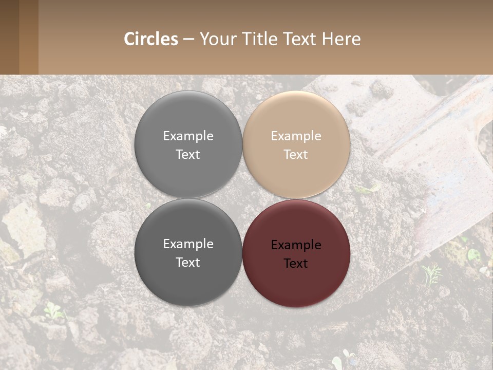 Property Nature Human Hand PowerPoint Template