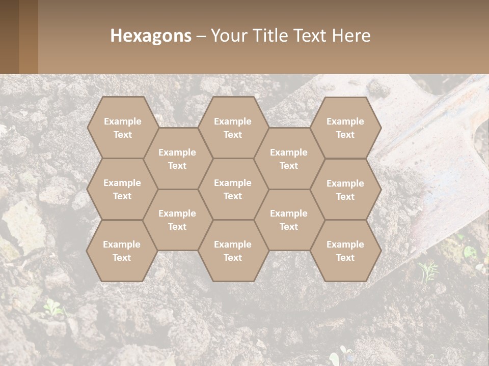 Property Nature Human Hand PowerPoint Template