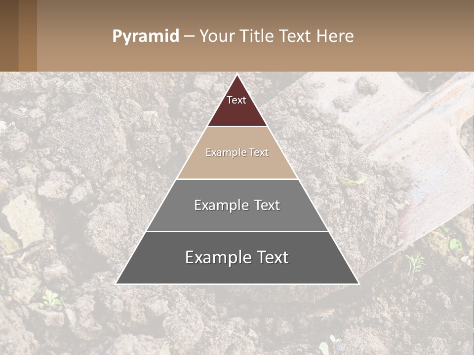 Property Nature Human Hand PowerPoint Template