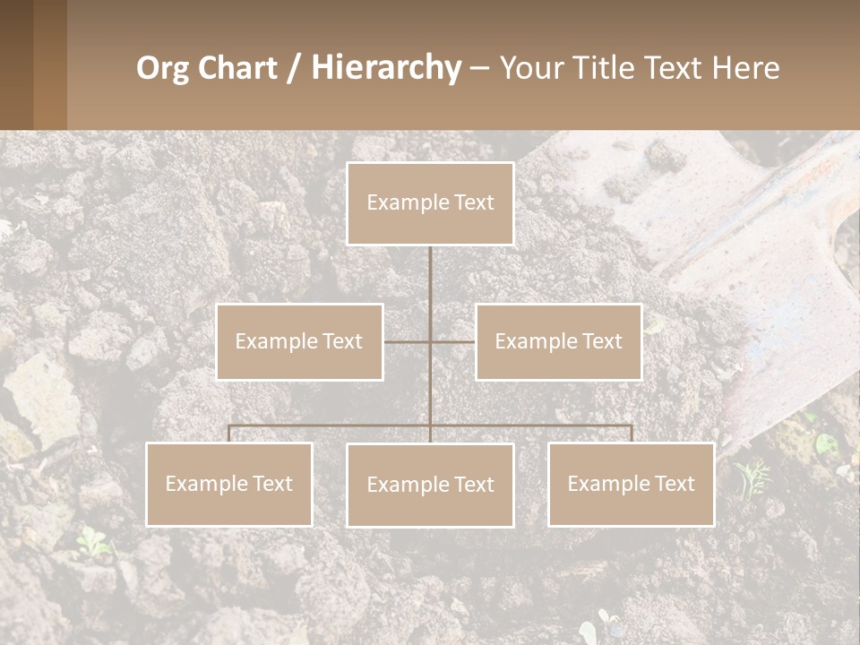 Property Nature Human Hand PowerPoint Template