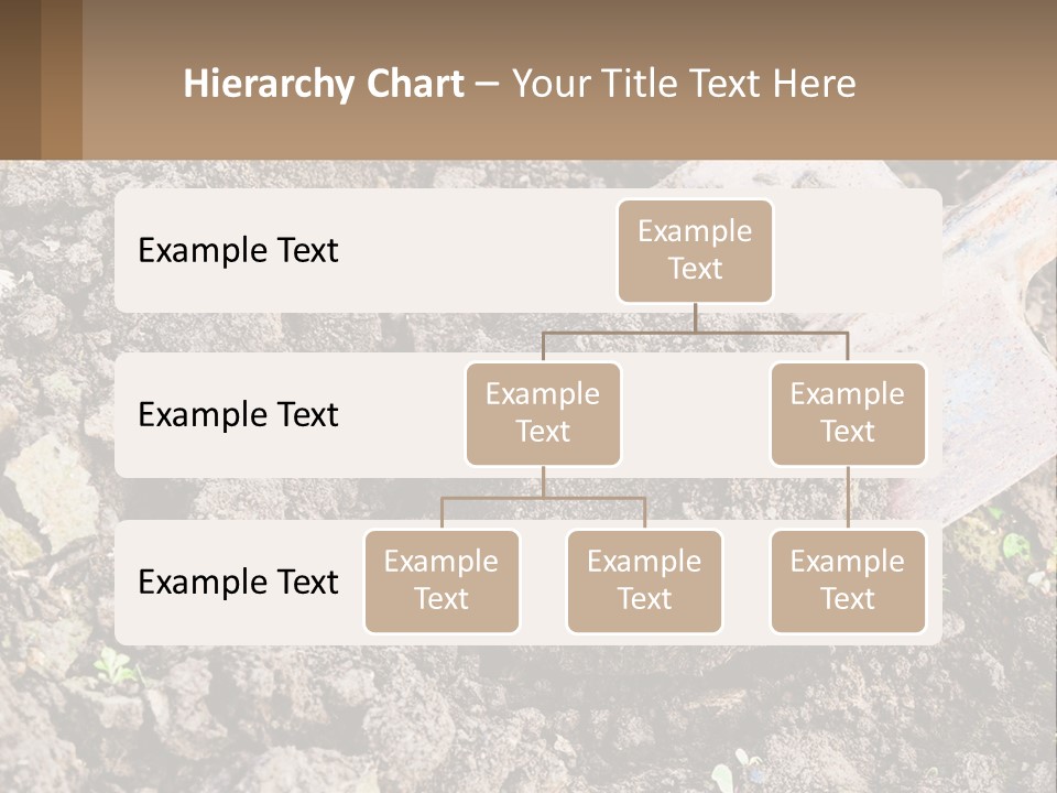 Property Nature Human Hand PowerPoint Template