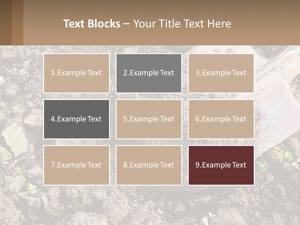 Property Nature Human Hand PowerPoint Template