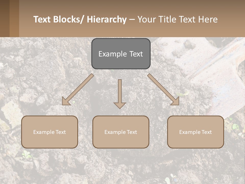 Property Nature Human Hand PowerPoint Template