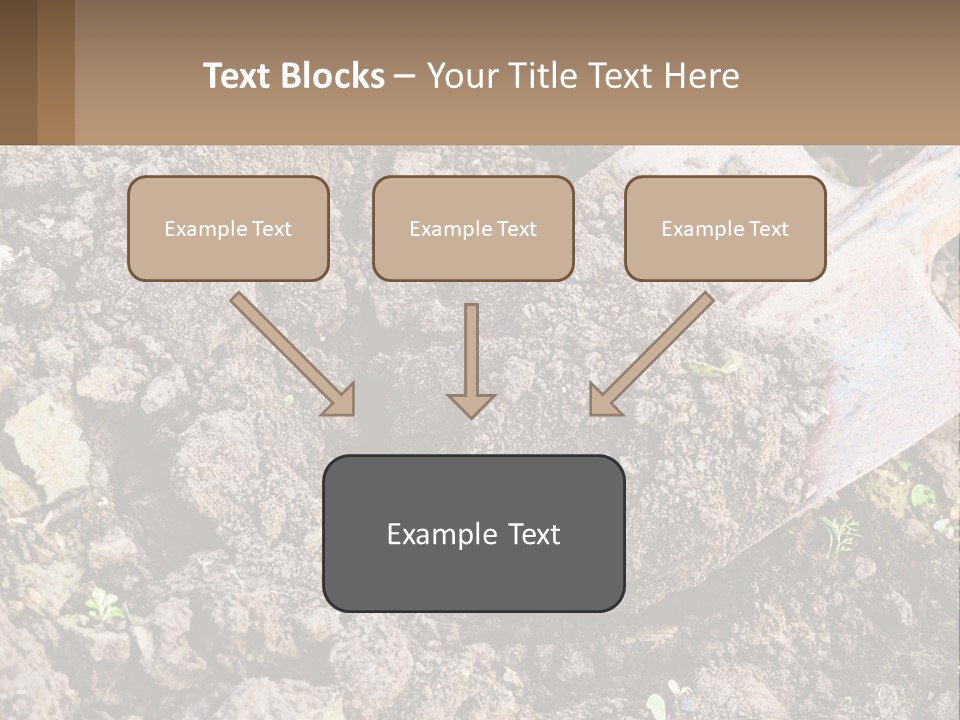 Property Nature Human Hand PowerPoint Template
