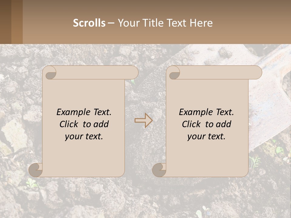 Property Nature Human Hand PowerPoint Template