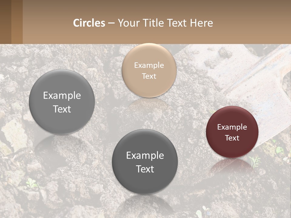 Property Nature Human Hand PowerPoint Template