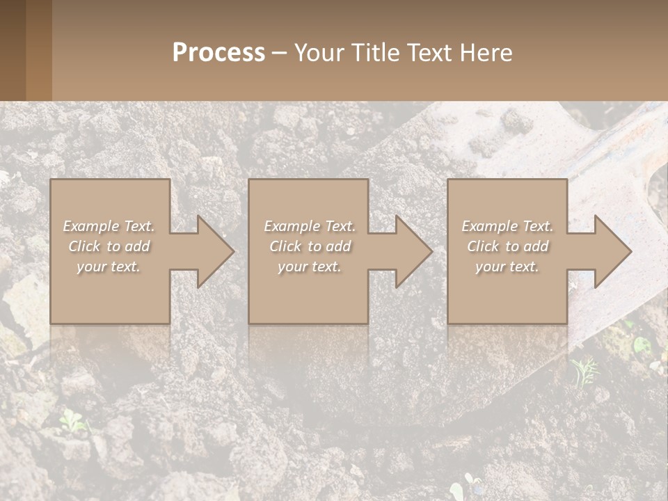 Property Nature Human Hand PowerPoint Template