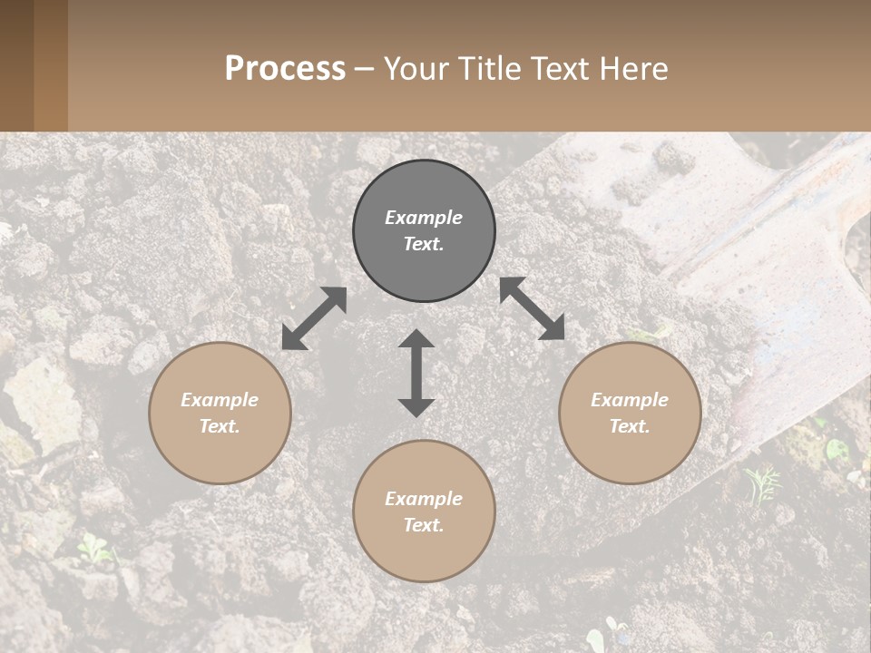 Property Nature Human Hand PowerPoint Template