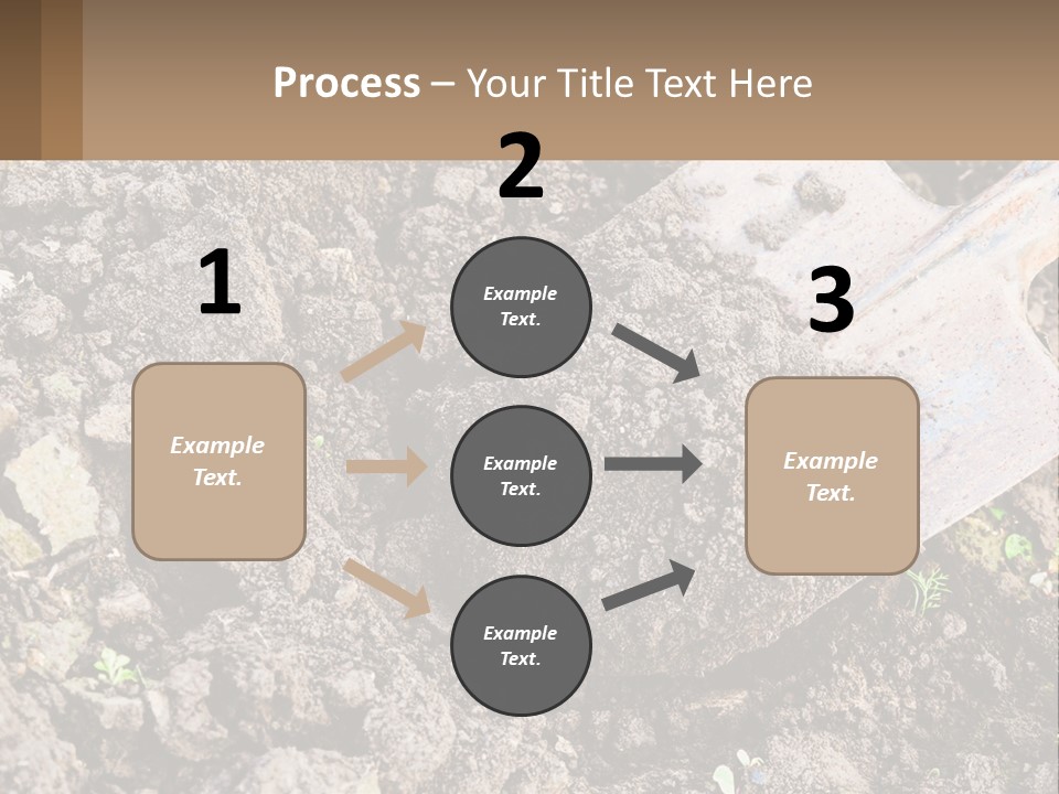 Property Nature Human Hand PowerPoint Template