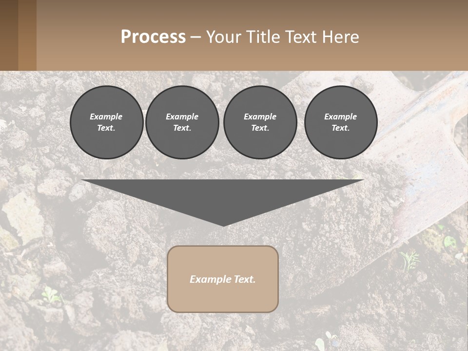 Property Nature Human Hand PowerPoint Template
