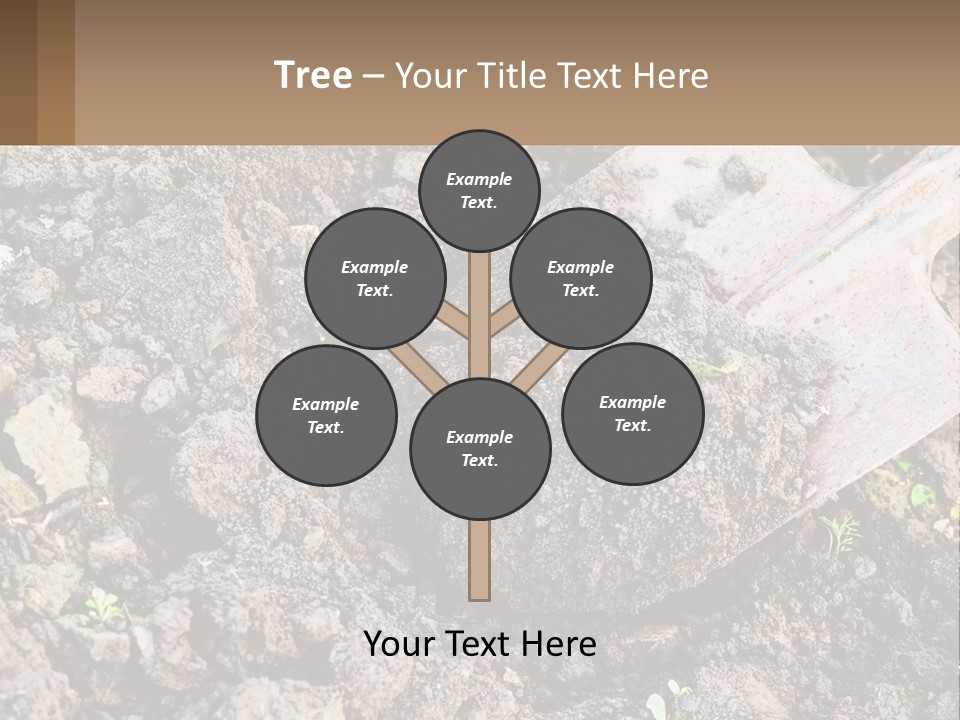 Property Nature Human Hand PowerPoint Template