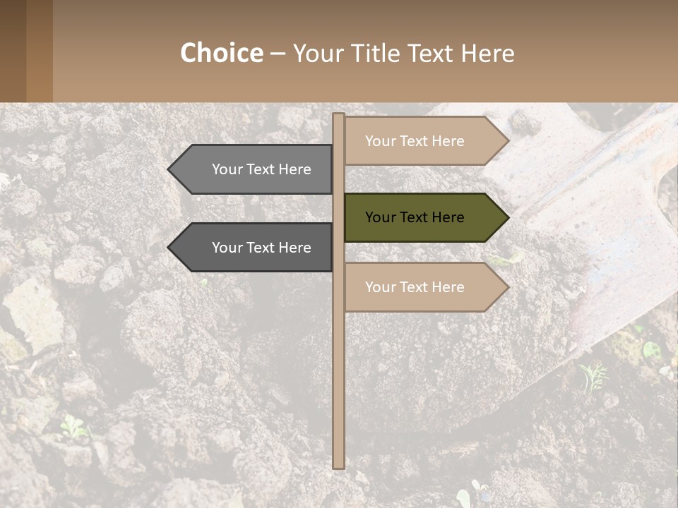 Property Nature Human Hand PowerPoint Template