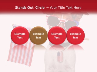 Made Leaf Selling PowerPoint Template