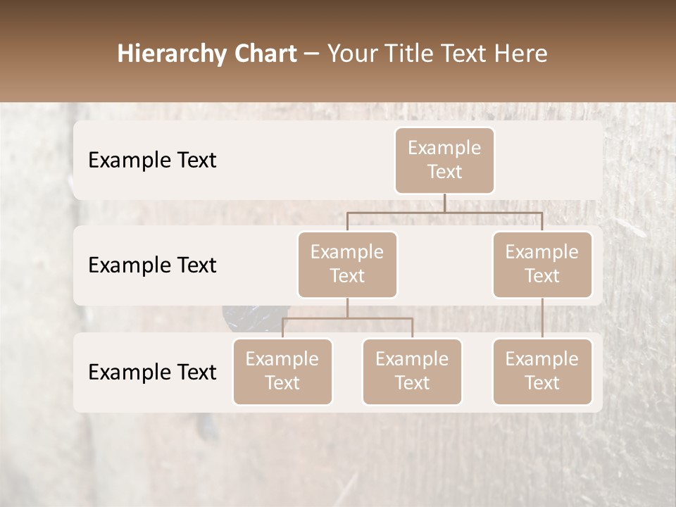 Buy Conceptual Architecture PowerPoint Template