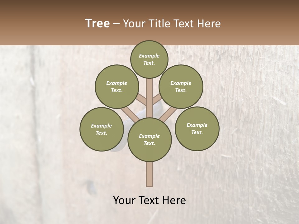 Buy Conceptual Architecture PowerPoint Template