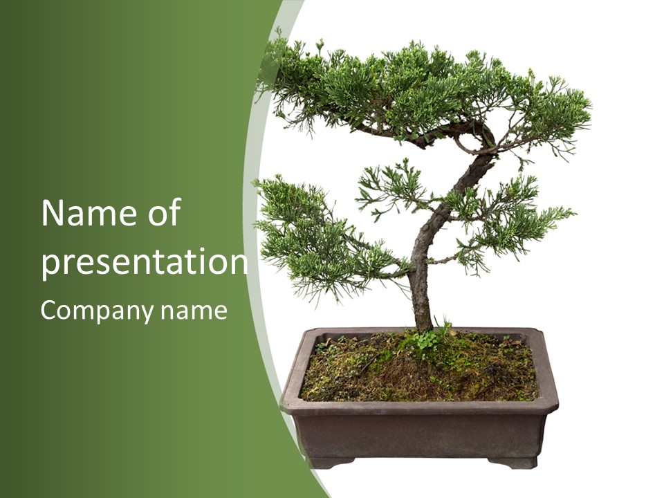 Rent Nature Investment PowerPoint Template