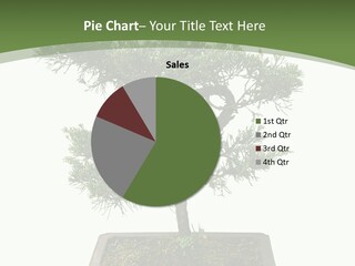 Rent Nature Investment PowerPoint Template