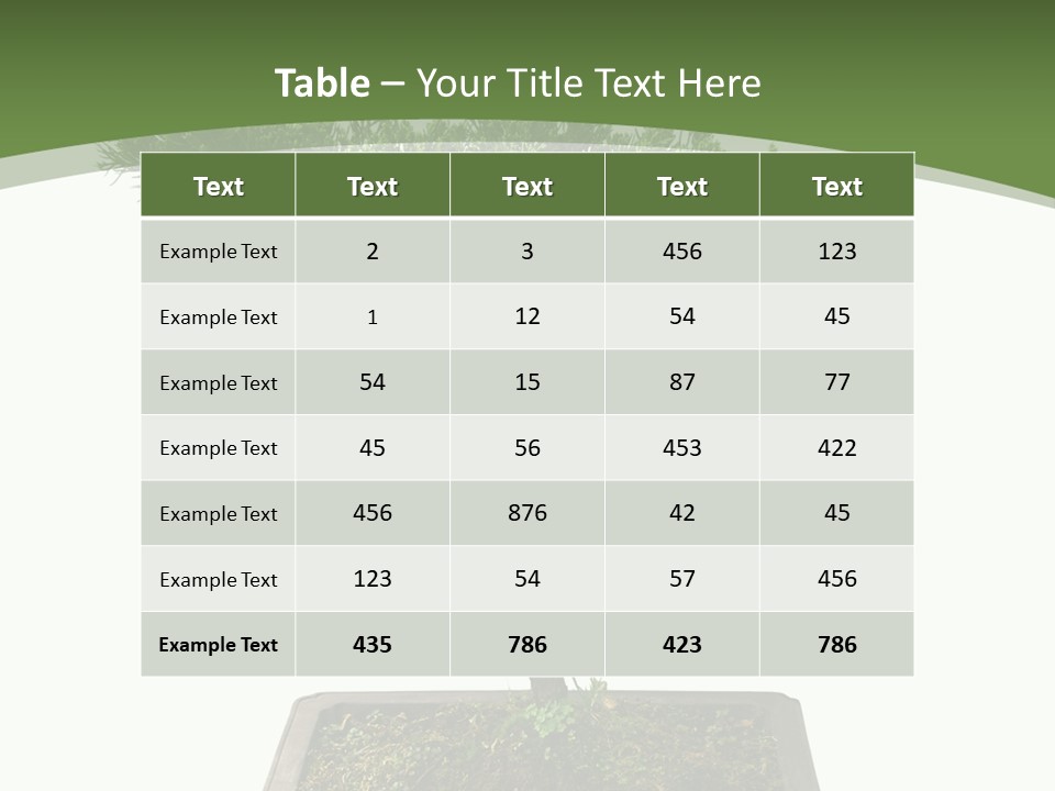Rent Nature Investment PowerPoint Template