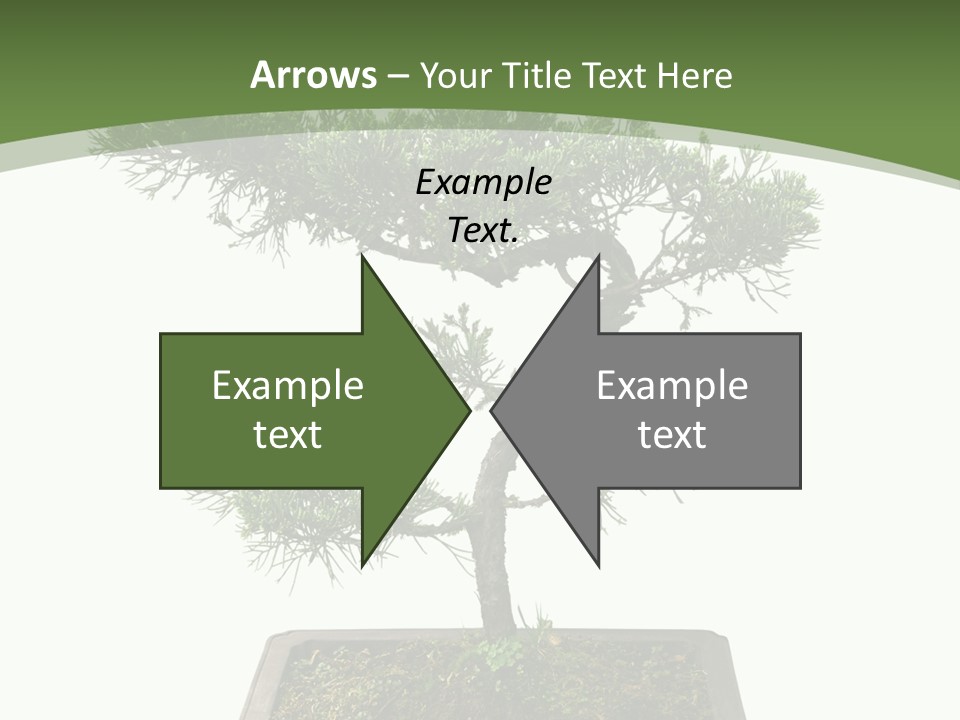 Rent Nature Investment PowerPoint Template