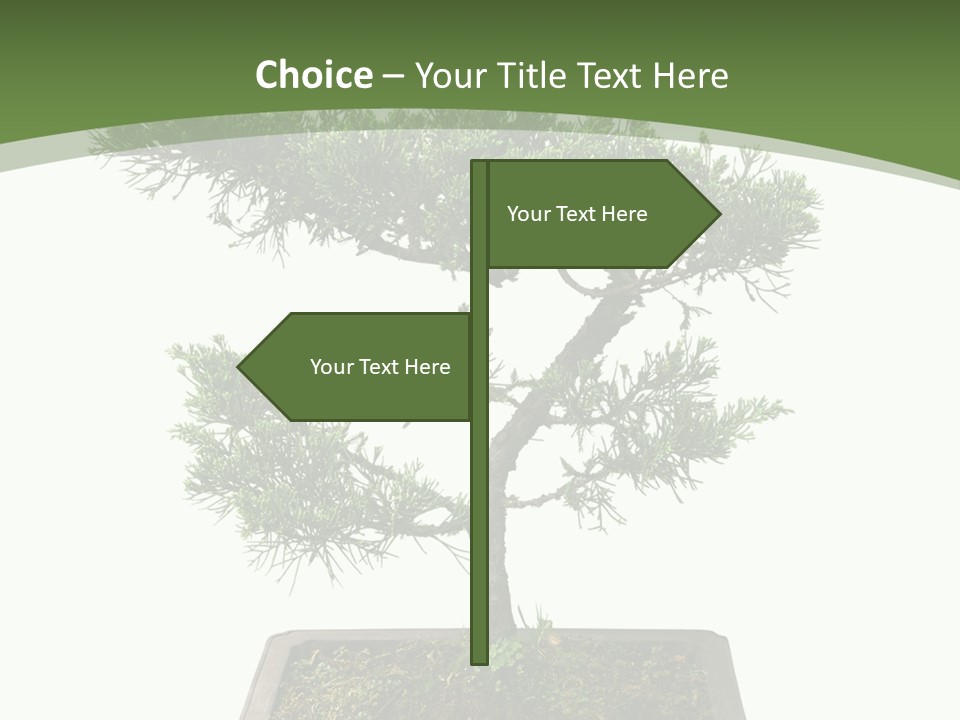 Rent Nature Investment PowerPoint Template