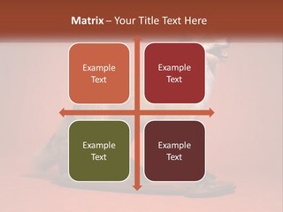 Nature Residential Selling PowerPoint Template