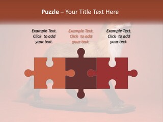 Nature Residential Selling PowerPoint Template