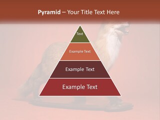 Nature Residential Selling PowerPoint Template