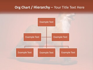 Nature Residential Selling PowerPoint Template