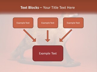 Nature Residential Selling PowerPoint Template