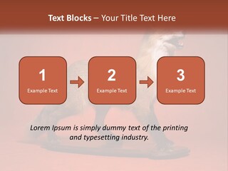 Nature Residential Selling PowerPoint Template