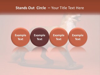 Nature Residential Selling PowerPoint Template