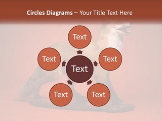 Nature Residential Selling PowerPoint Template