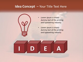 Nature Residential Selling PowerPoint Template