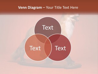 Nature Residential Selling PowerPoint Template