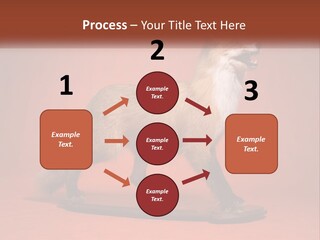Nature Residential Selling PowerPoint Template