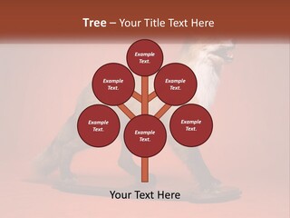 Nature Residential Selling PowerPoint Template