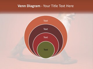 Nature Residential Selling PowerPoint Template