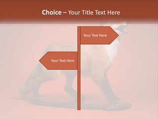 Nature Residential Selling PowerPoint Template