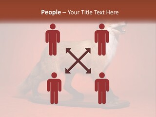 Nature Residential Selling PowerPoint Template