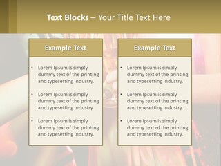 Park Architect Lawn PowerPoint Template