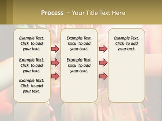 Park Architect Lawn PowerPoint Template