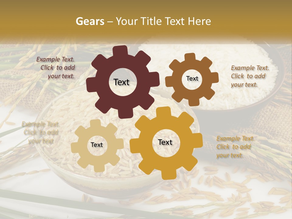 Thailand Sack Asia PowerPoint Template