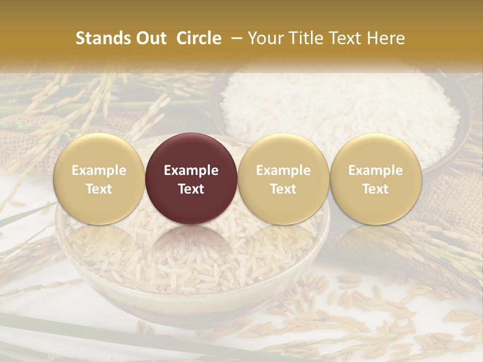 Thailand Sack Asia PowerPoint Template