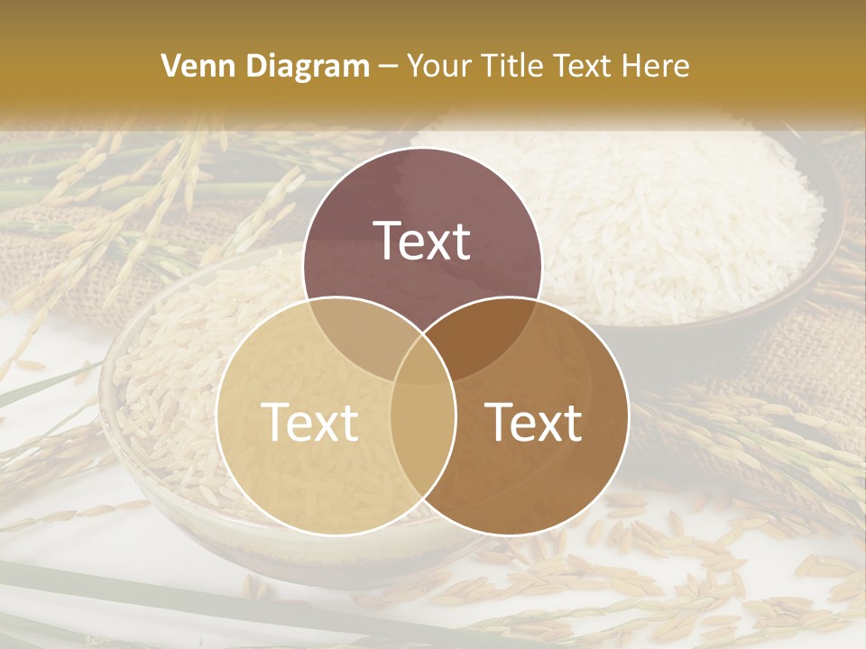 Thailand Sack Asia PowerPoint Template