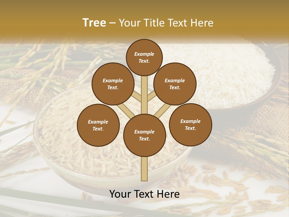 Thailand Sack Asia PowerPoint Template