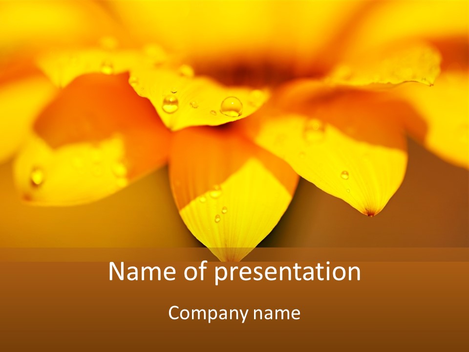Leaf Pattern Yellow PowerPoint Template