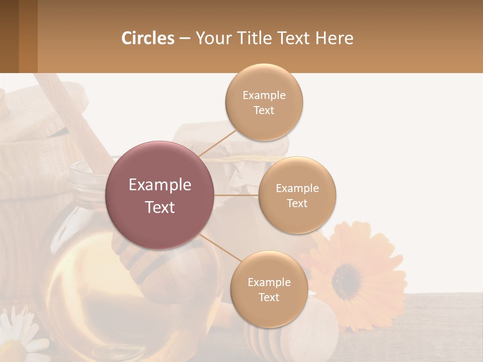 Food Space Camomile PowerPoint Template